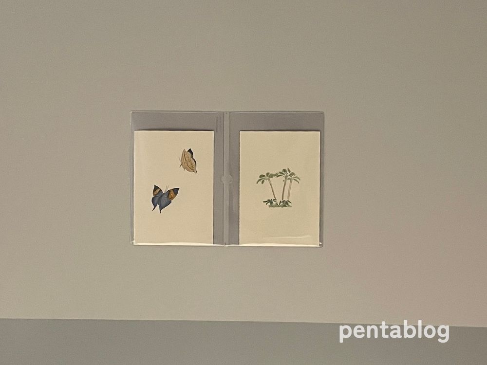 アンテルーム那覇　客室　とまりん　作品