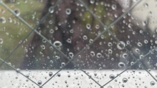 窓際　雨粒　景色