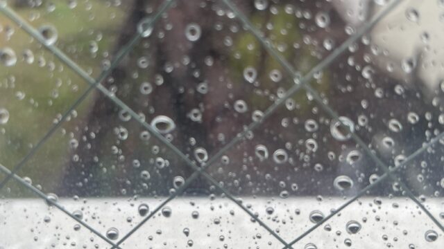 窓際　雨粒　景色